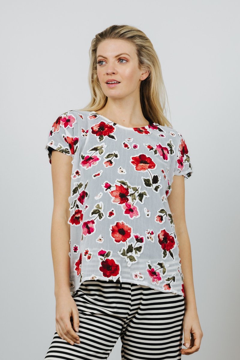 Oasis Women's Tee - Tops - Buy Women's Tops Online at Best Prices from ...