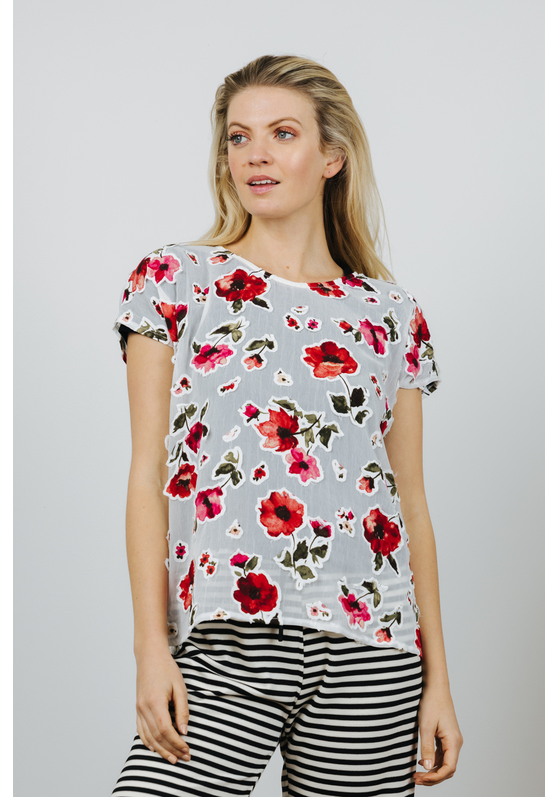 Oasis Women's Tee - Tops - Buy Women's Tops Online at Best Prices from ...